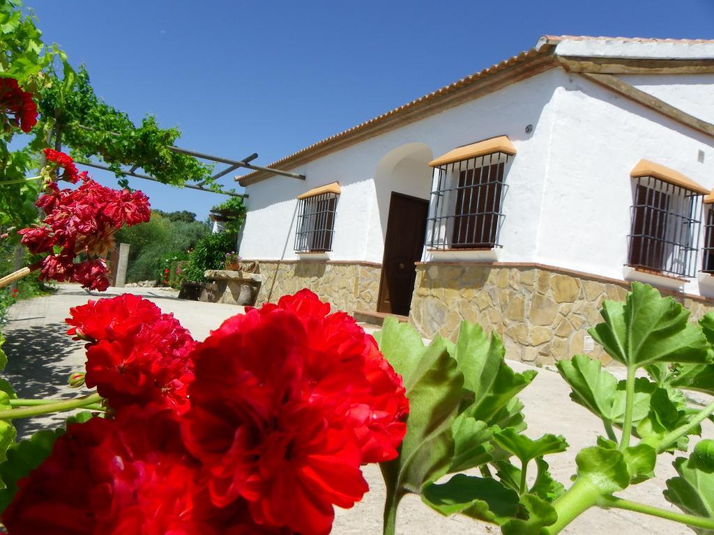 Casa Rural La Parada 라호야 외부 사진